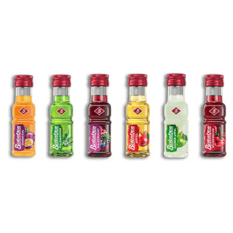 Berentzen Party Bucket 24x 2cl Miniatures