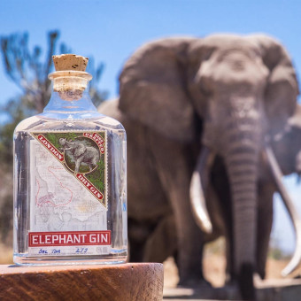 Elephant Gin 50cl Awards