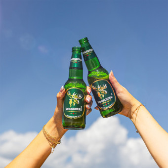 Moosehead Lager 24x 350ml