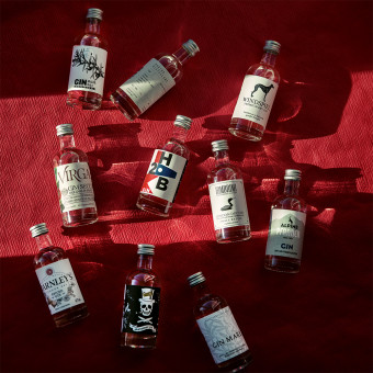 The Gin Box World Gin Tour 10x 5cl open