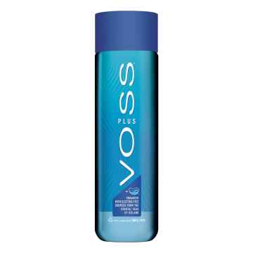 Voss Plus Still Water 24x 500ml