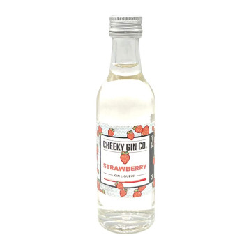 The Cheeky Gin Co. Pineapple Gin Liqueur 5cl Miniature